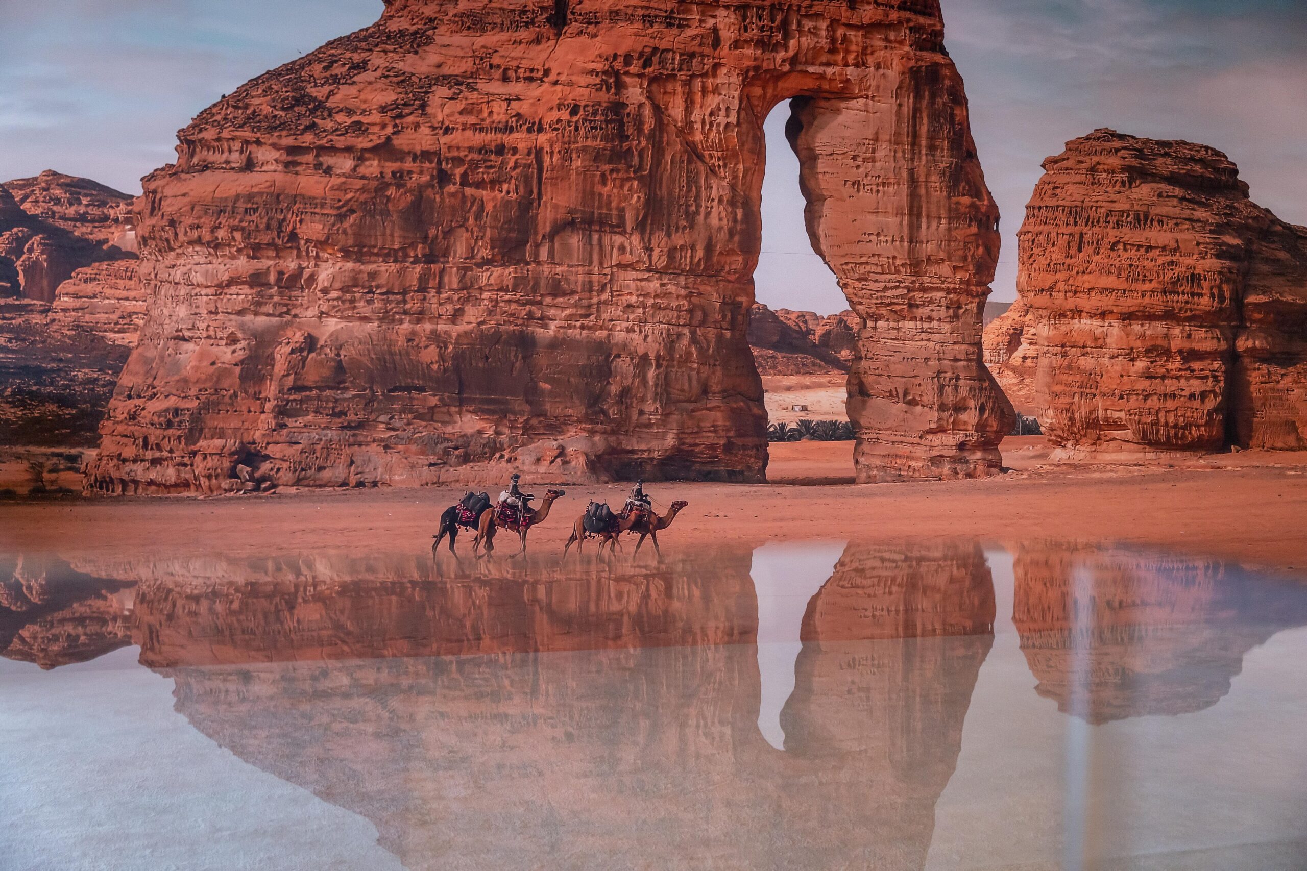 Saudi Arabia tours